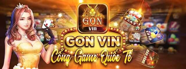 Thông tin sơ lược về Gon Vin